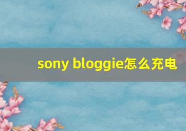 sony bloggie怎么充电